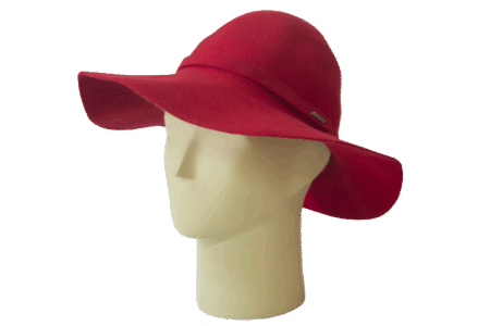 Sombrero Estilo Floppy