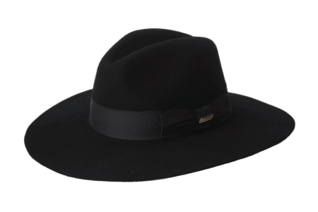 Gardeliano Ala Plana