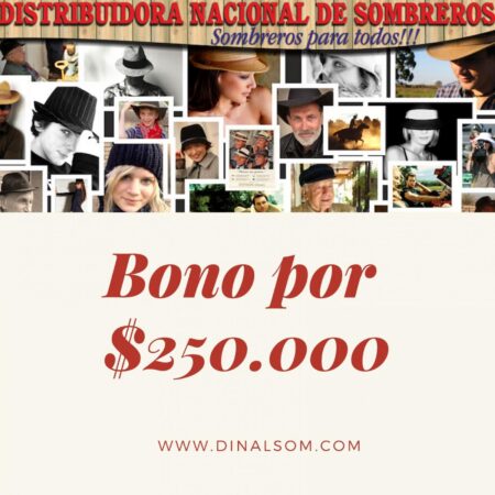 Bono regalo x $250.000